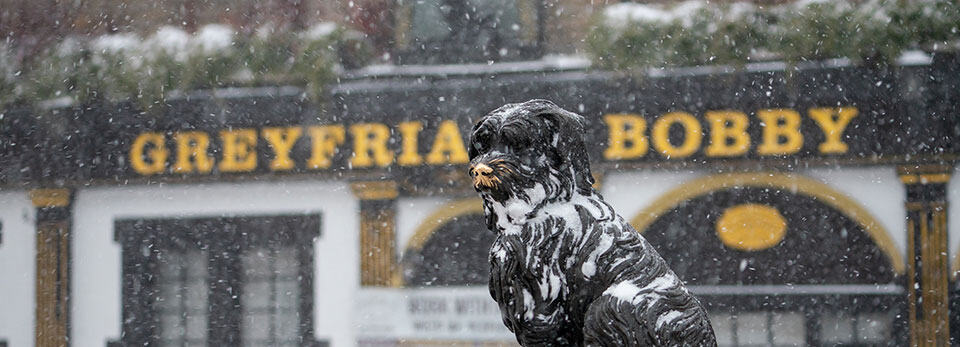 Close-up of the snow-dusted bronze Greyfriars Bobby statue standing in front of the snow-covered Greyfriars Bobby pub sign during a snowfall.
